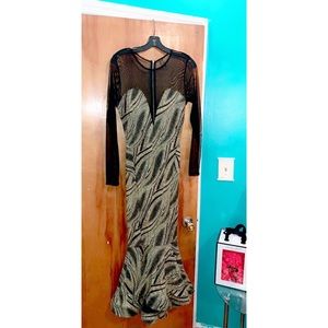 Sheer Long Sleeve Gown